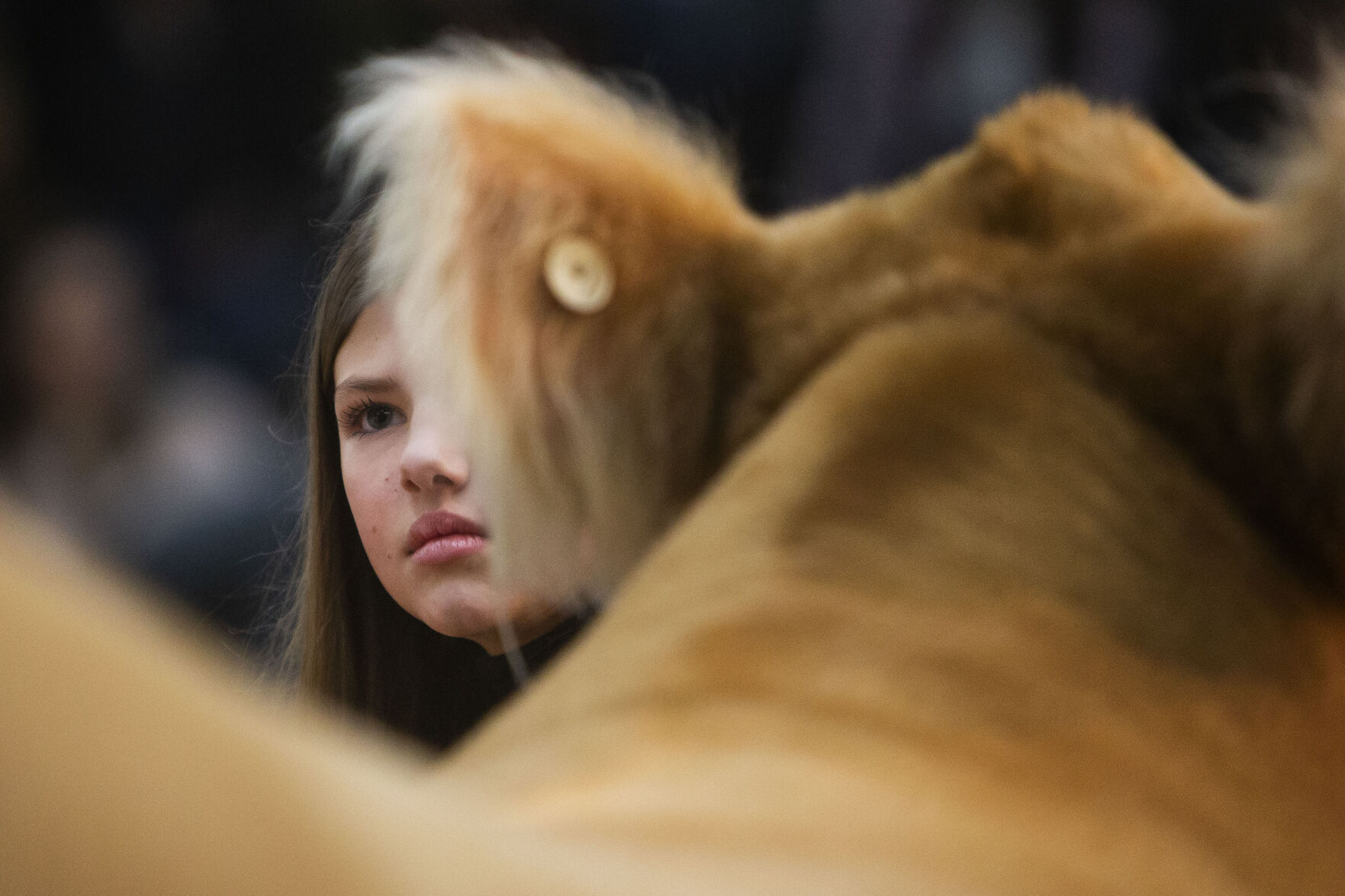 012222-news-JrLivestockAuction04.JPG